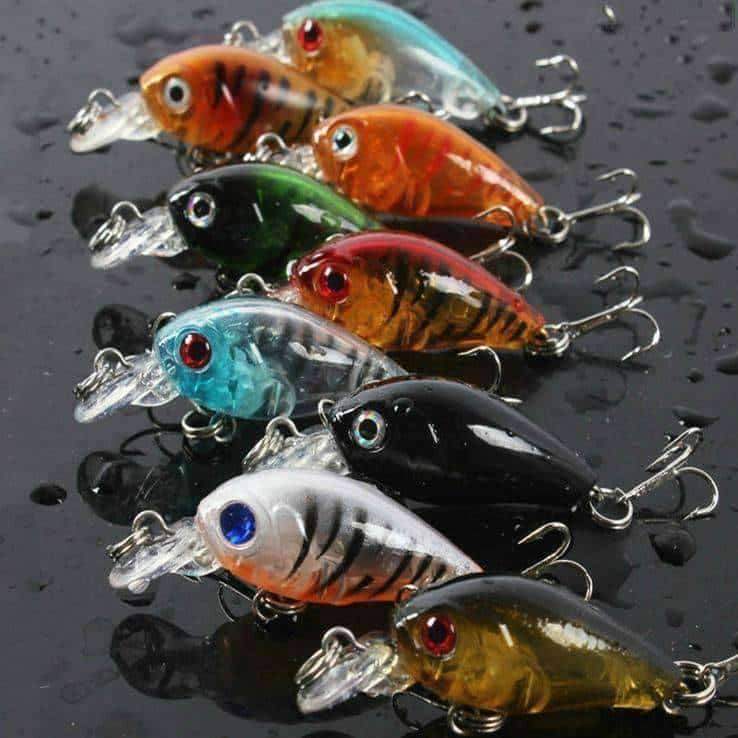 Fishing Minnow Crankbait - OutdoorsAdventurer