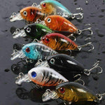 Fishing Minnow Crankbait - OutdoorsAdventurer