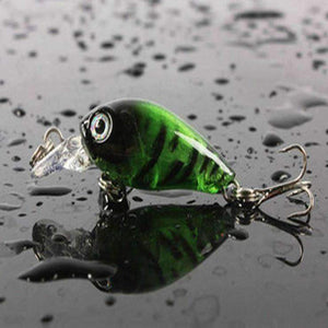 Fishing Minnow Crankbait - OutdoorsAdventurer